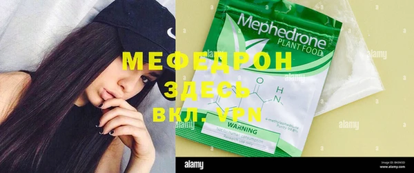 индика Белокуриха