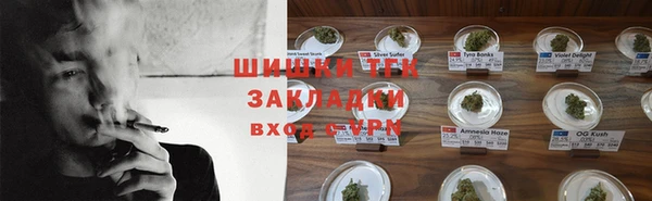 индика Белокуриха