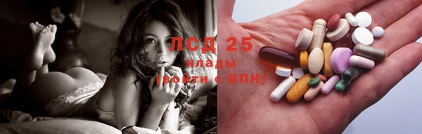 индика Белокуриха