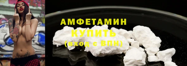 индика Белокуриха
